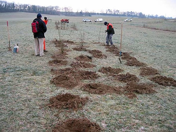 Plantation des haies le long des étangs des Coeudres