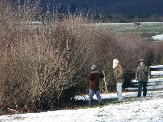 Recherche des « candidats » en parcourant les haies. 